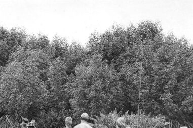 COMBATENTES, STRESS, GUERRA, AGRESSÕES, SAÚDE, VIOLÊNCIA