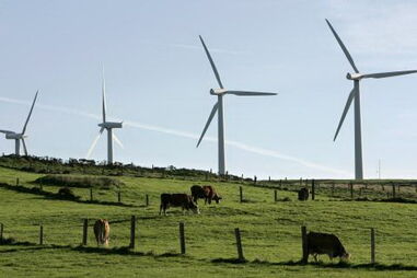 ren, energia, renováveis, eólicas, consumo