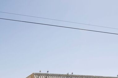 PRAIA, COMPRA, GRUPO, ARMAÇÃO DE PÊRA