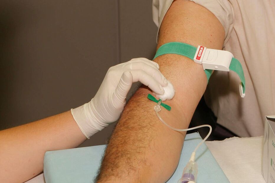 PORTIMÃO, ESTUDANTES, RECOLHA DE SANGUE, MEDULA ÓSSEA