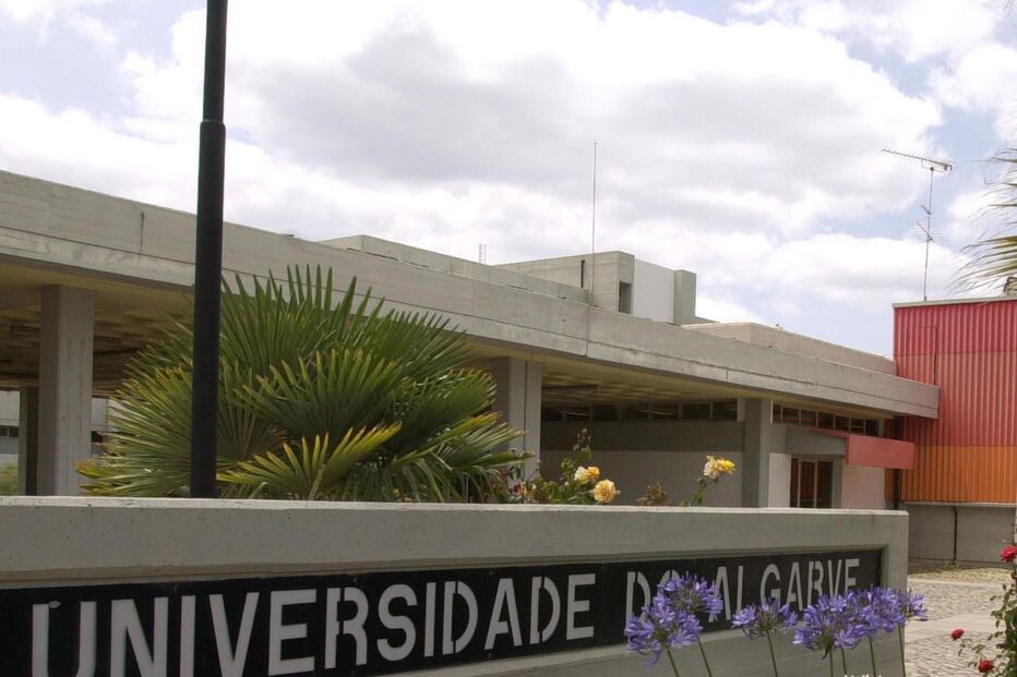 eleições, universidade do Algarve, associação académica