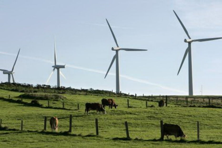 ren, energia, renováveis, eólicas, consumo