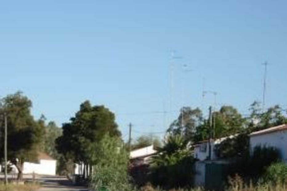 mértola, idosa, desaparecimento, buscas, GNR