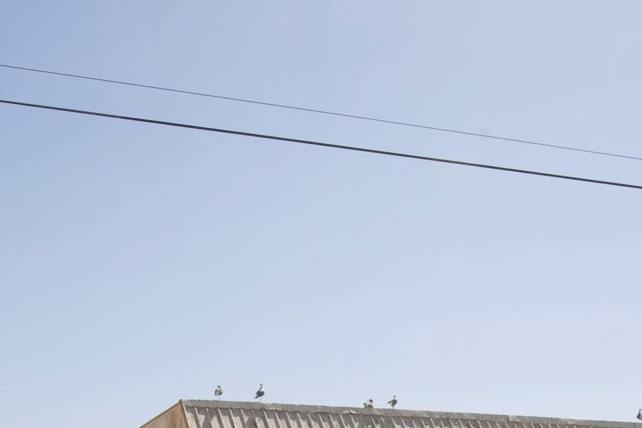 PRAIA, COMPRA, GRUPO, ARMAÇÃO DE PÊRA