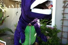 Dinossauro 'Dug' é vedeta num quintal da Califórnia