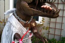 Dinossauro 'Dug' é vedeta num quintal da Califórnia