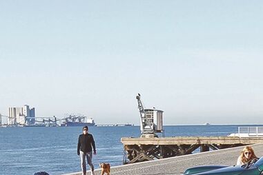 atriz, novela, televisão, dancin' days, joana ribeiro, 