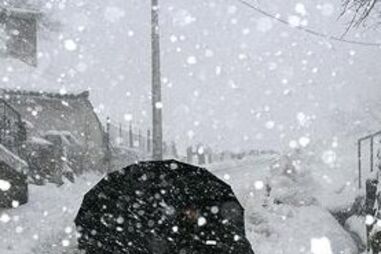 neve, gelo, mau tempo, Bragança, alunos, escola, proteção civil