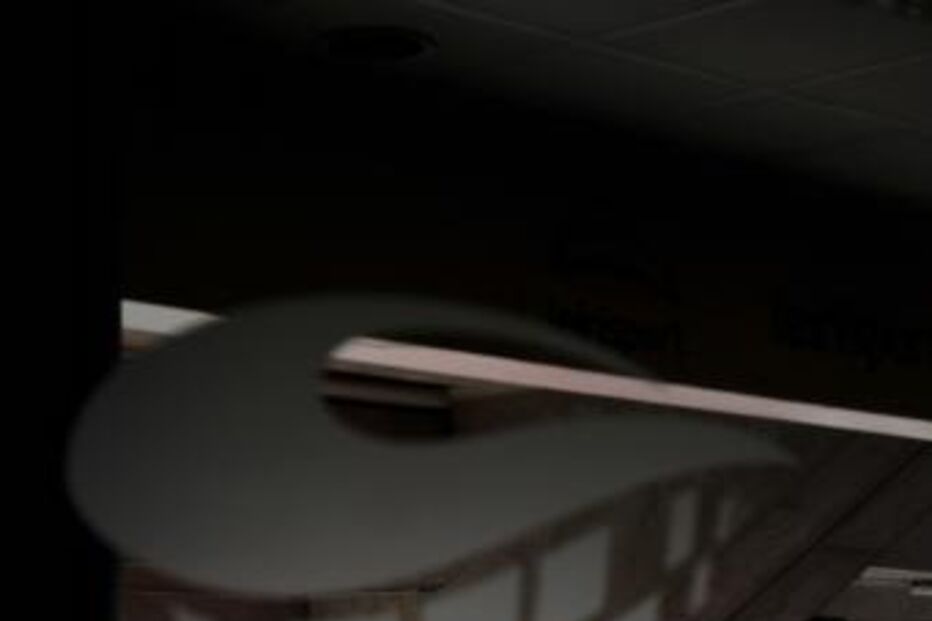 leirisport, administração, trabalhadores, empresa, leiria, despedimento, sindicato