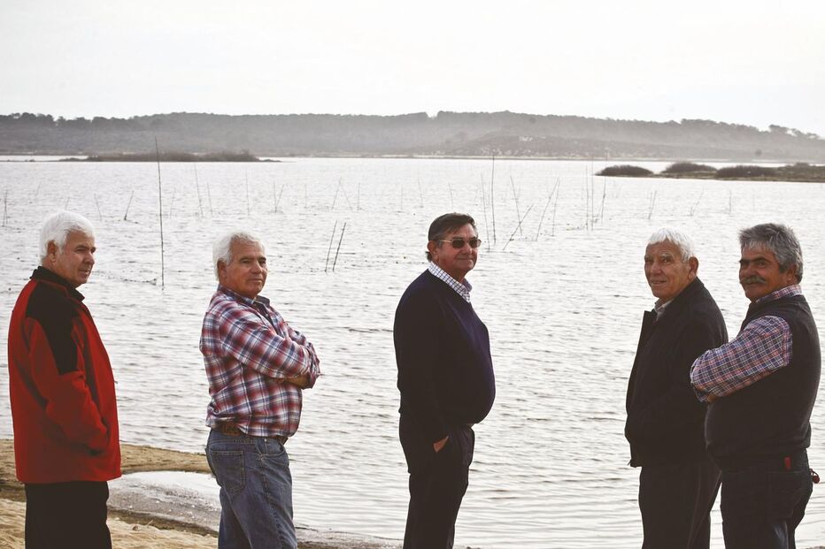 Os sobreviventes da lagoa