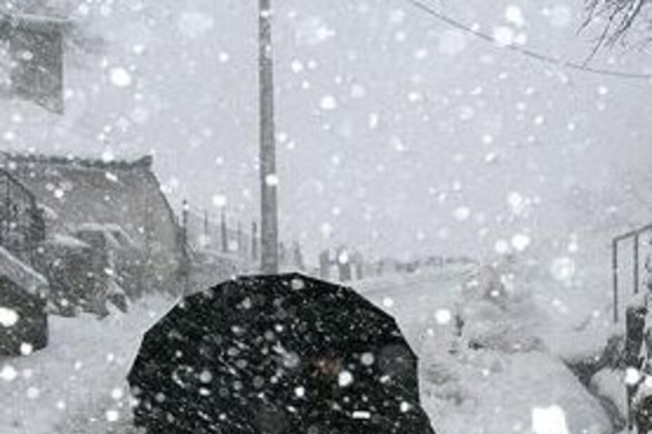 neve, gelo, mau tempo, Bragança, alunos, escola, proteção civil