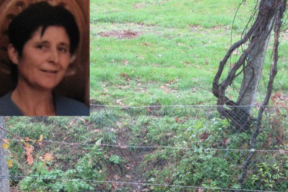 ACIDENTE, MORTE, PÓVOA DO LANHOSO, GNR, TRABALHO