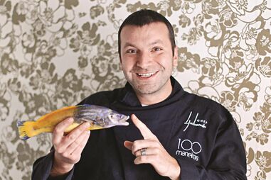 Ljubomir Stanisic: “Portugueses acham que sou exótico” 