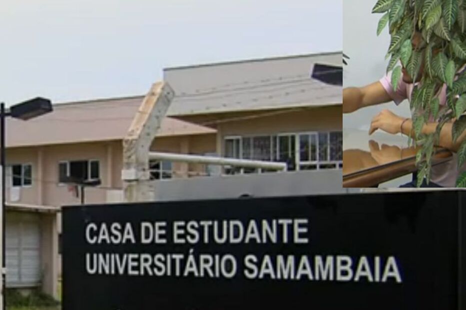 BRASIL, GAY, HOMOSEXUAL, UNIVERSIDADE, AGRESSÃO