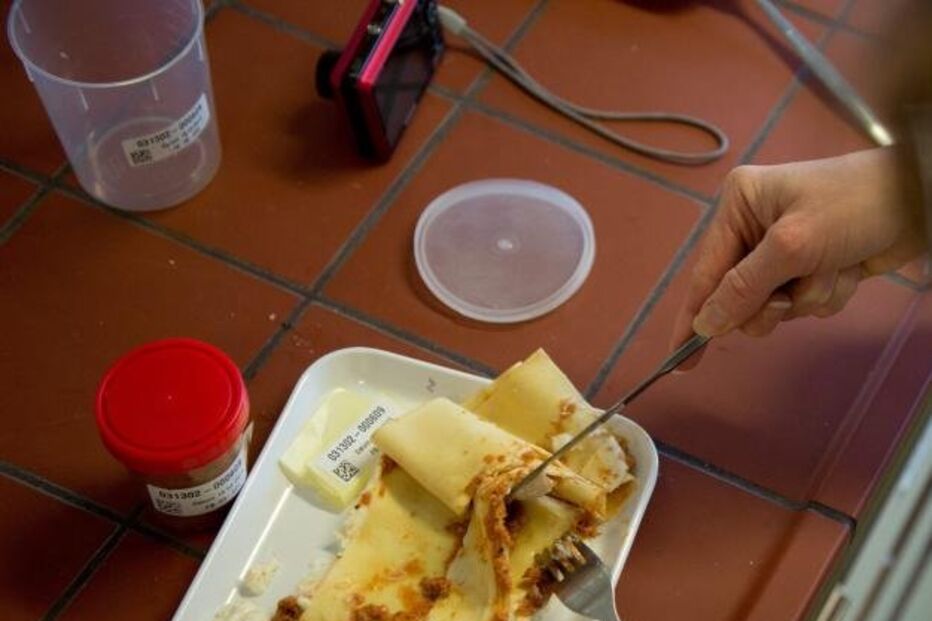 carne, vaca, cavalo, autoridades, comércio, etiquetas, Bucareste, Roménia