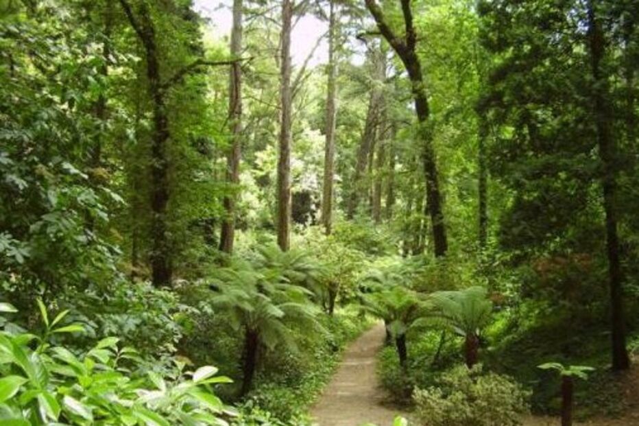 floresta, Afloeste, Pedro Santos, certificação