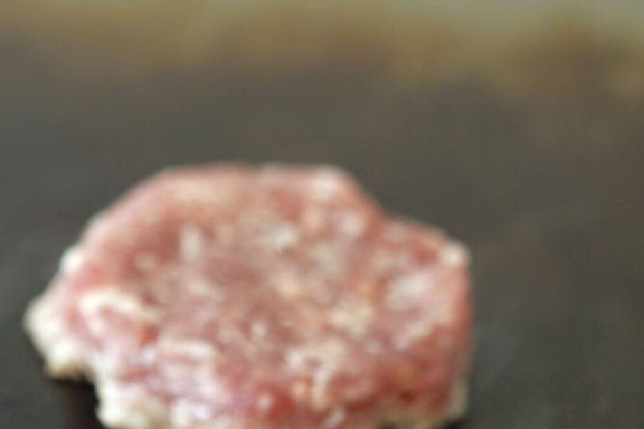 Carne de cavalo, vaca, hambúrgueres, congelados, refeições, supermercados