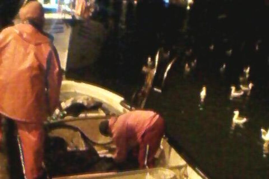 polícia, criminal, Interpol, pesca ilegal, SCALE