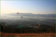 O mistério dos 'Rapazes Rãs'