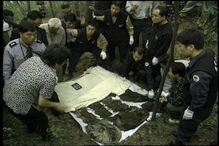 O mistério dos 'Rapazes Rãs'