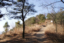 O mistério dos 'Rapazes Rãs'