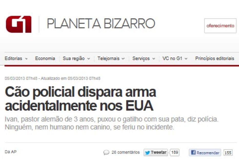 cão, pastor alemão, polícia, tiro