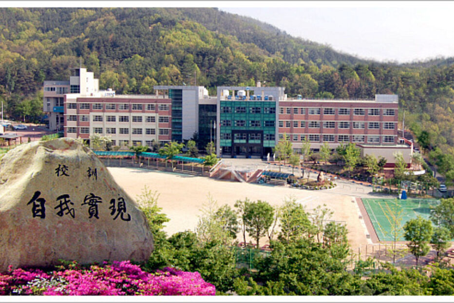 O mistério dos 'Rapazes Rãs'