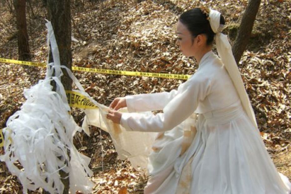 O mistério dos 'Rapazes Rãs'