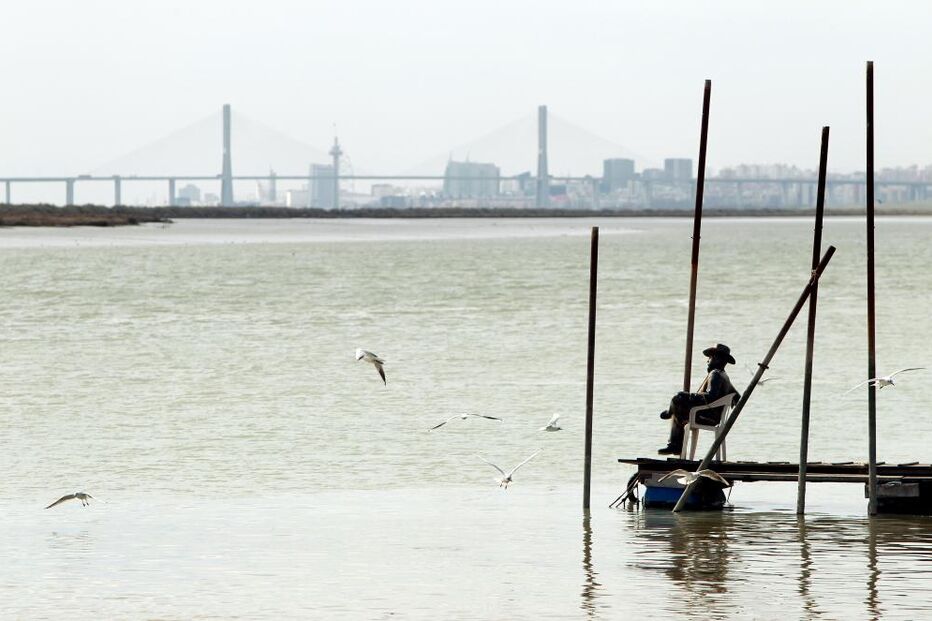 Quinze anos de uma grande obra marcada pela polémica