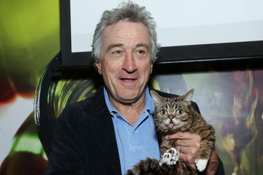 DOCUMENTÁRIO, ROBERT DENIRO, LIL BUB, GATO