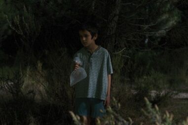 cannes, basil da cunha, até ver a luz, miguel gomes