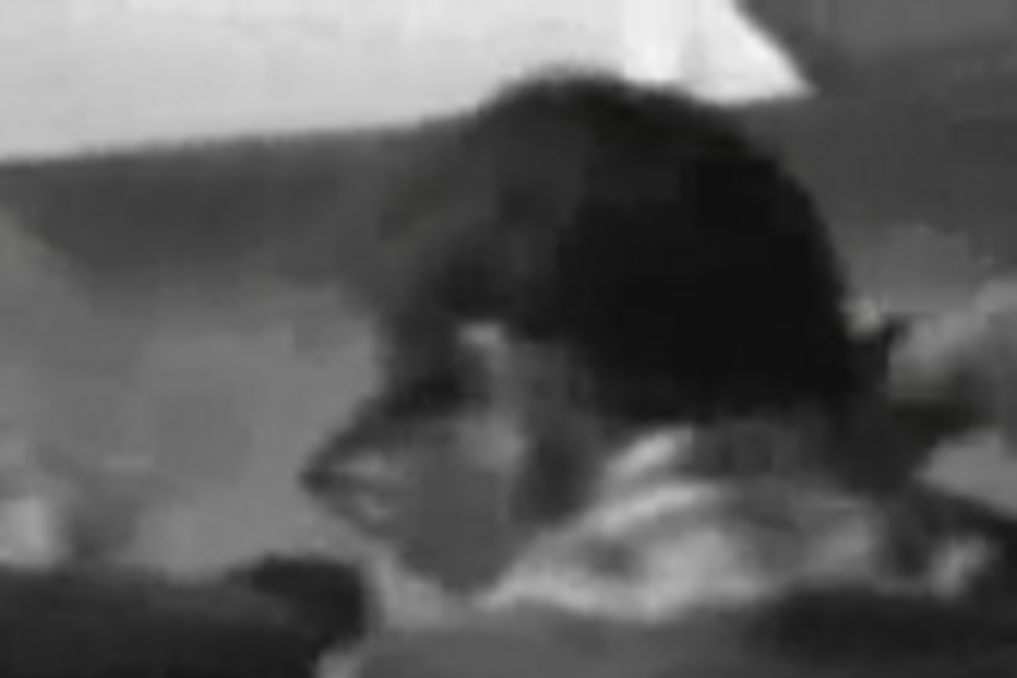 Martin Luther King, video, James Earl Ray, EUA, racismo