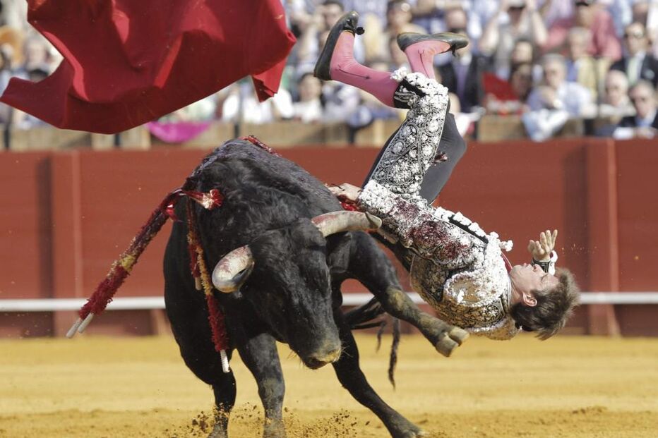  'El Juli' colhido por touro