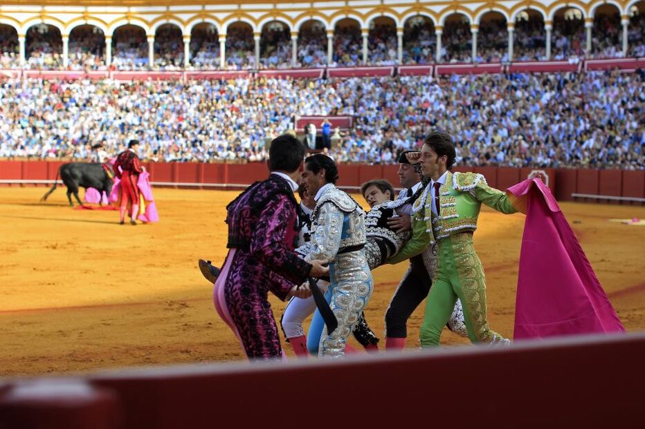 'El Juli' colhido por touro