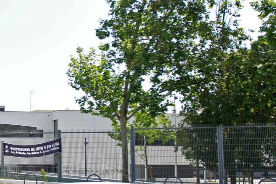 ALMADA, JOVEM, VIOLAÇÃO, COLEGAS