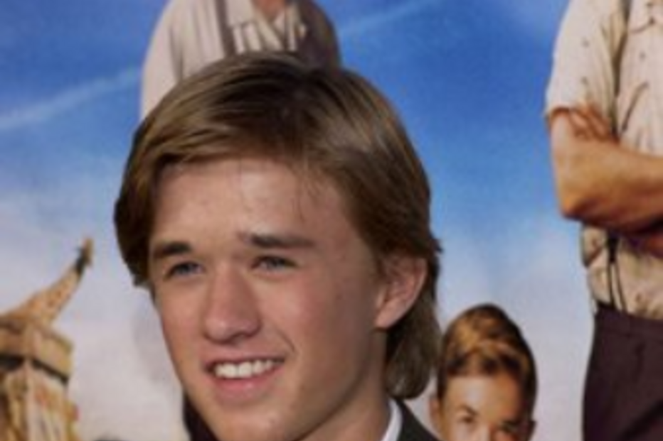 Média, Haley Joel Osment, 'O Sexto Sentido', séries de televisão