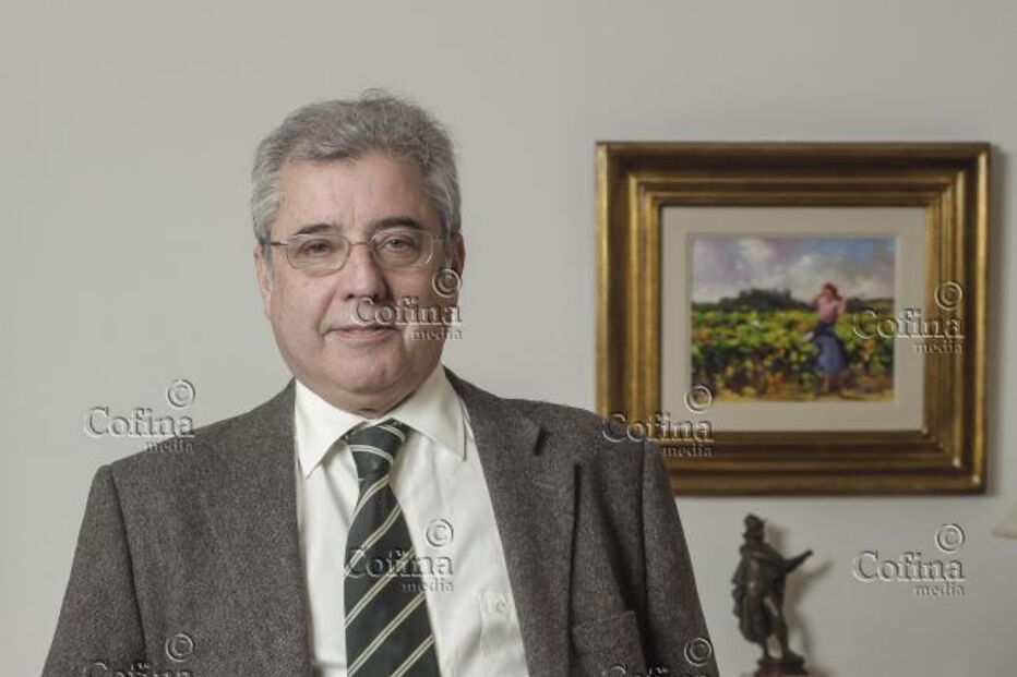 João Ferreira do Amaral, Euro, Sair do Euro, Moeda única, Taxa de juro, Livro, Federalismo, Porque devemos sair do euro