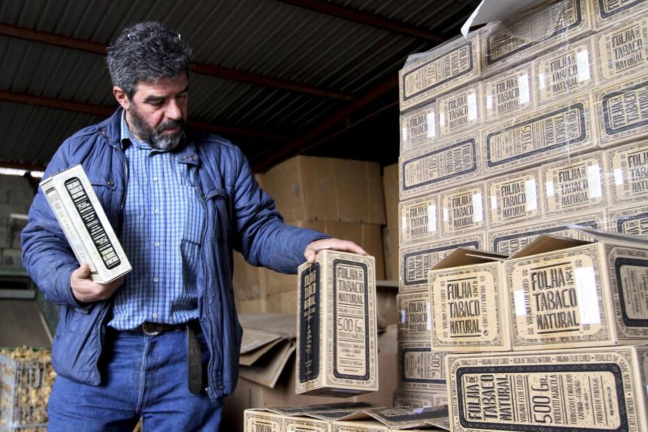 tabaco, folhas, internet, Fundão, venda, comércio, tabaqueiras, agricultura