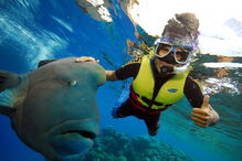 Grande Barreira de Coral, Austrália, ecossistema, ameaça, Património Mundial, UNESCO, portos, cargueiros, dragagem