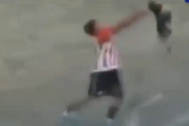 cão, argentina, violência, agressão, animais, futebol, enzo jimenez