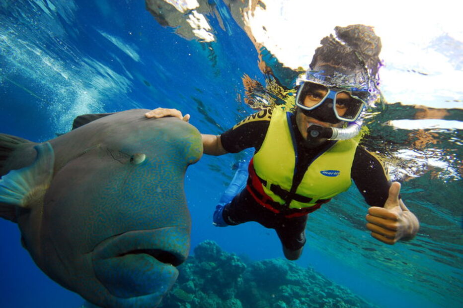 Grande Barreira de Coral, Austrália, ecossistema, ameaça, Património Mundial, UNESCO, portos, cargueiros, dragagem