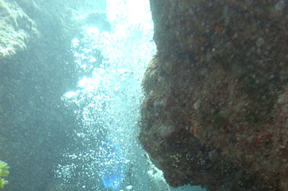 Grande Barreira de Coral, Austrália, ecossistema, ameaça, Património Mundial, UNESCO, portos, cargueiros, dragagem