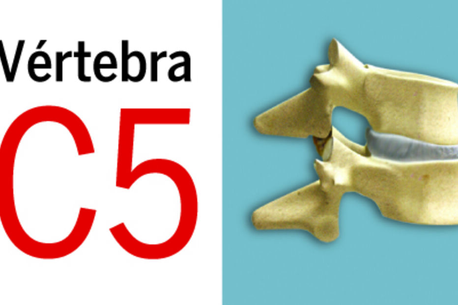 mergulhos, segurança, acidentes, praias, piscinas, rios, lagos, lesões, paraplégicos