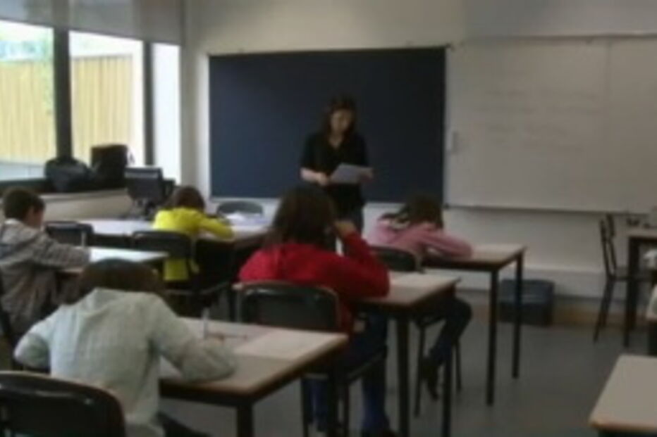 sindicatos, ensino, escolas, snesup, greve, administração escolar, professores