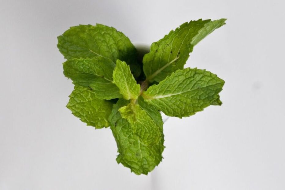 As bebidas ideais para o verão