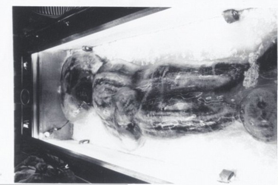 big foot, pé grande, homem gelado, descoberta, arqueologia, minnesota