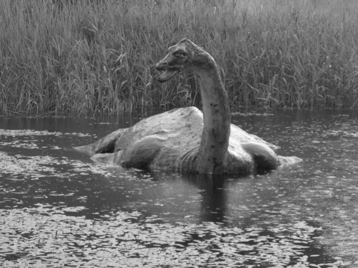 Google avista monstro de Loch Ness - Tecnologia - Correio da Manhã