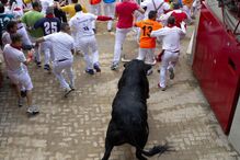 Pamplona, Fotogaleria, largada de touros, festas San Fermín