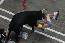 Pamplona, Fotogaleria, largada de touros, festas San Fermín