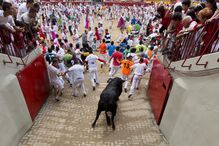 Pamplona, Fotogaleria, largada de touros, festas San Fermín